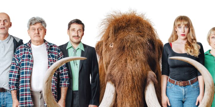 Proč muži neposlouchají a ženy neumí číst v mapách